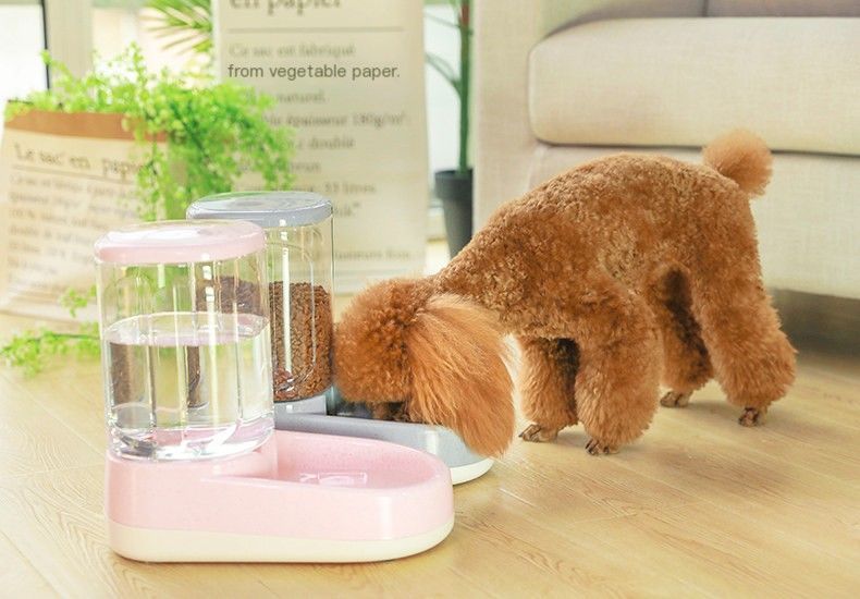 Pet automatic feeder-Blue Feeder