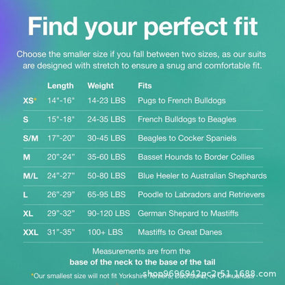 Pet physiological pants-XXL