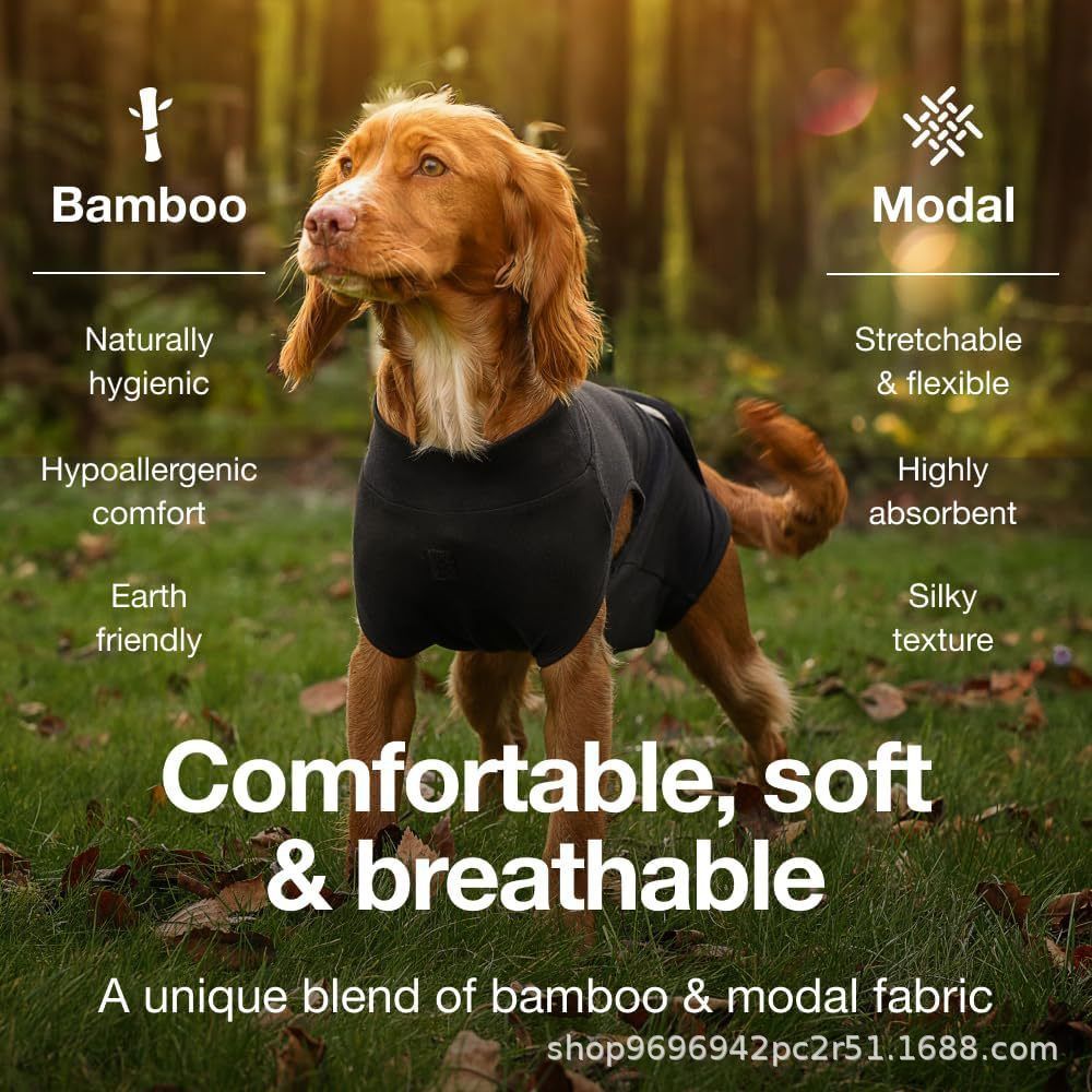 Pet physiological pants-XXL