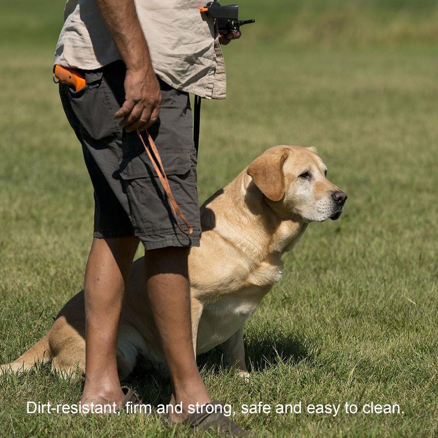 Pet snack bag-A