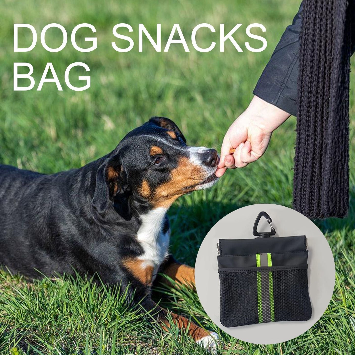 Pet snack bag-B