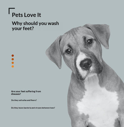 PetPawPrintCup-Orange