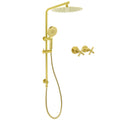 WELS Brushed Gold Twin Shower Large Round 12" Rain Head Handheld Silde Wall Rail Arm Stylish Mixer