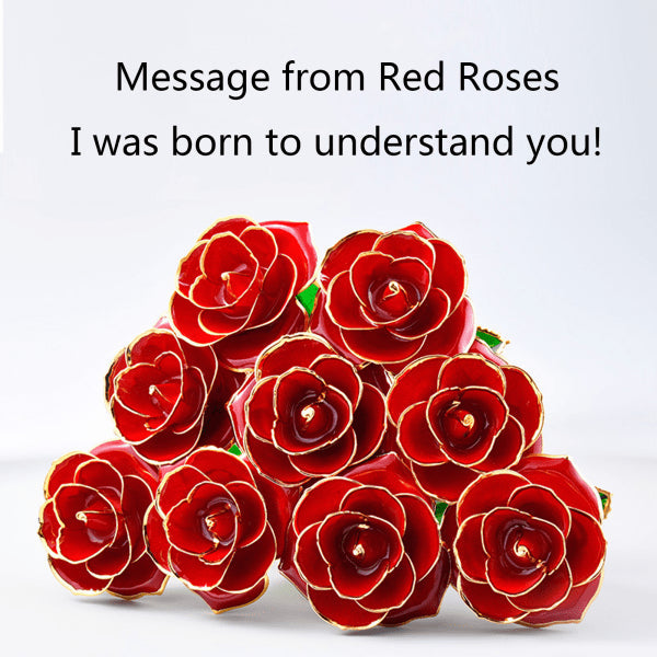 24K Gold Plated Rose, Dried Flower Kit with Gift Box and Display Stand, Rose Red