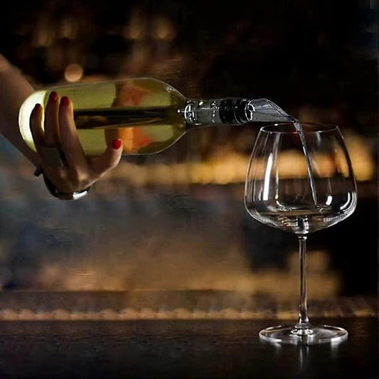 2-pack Wine Cooler Wine Bottle Cooler Stainless Steel Wine Chiller Wine Decanter with Wine Aerator.