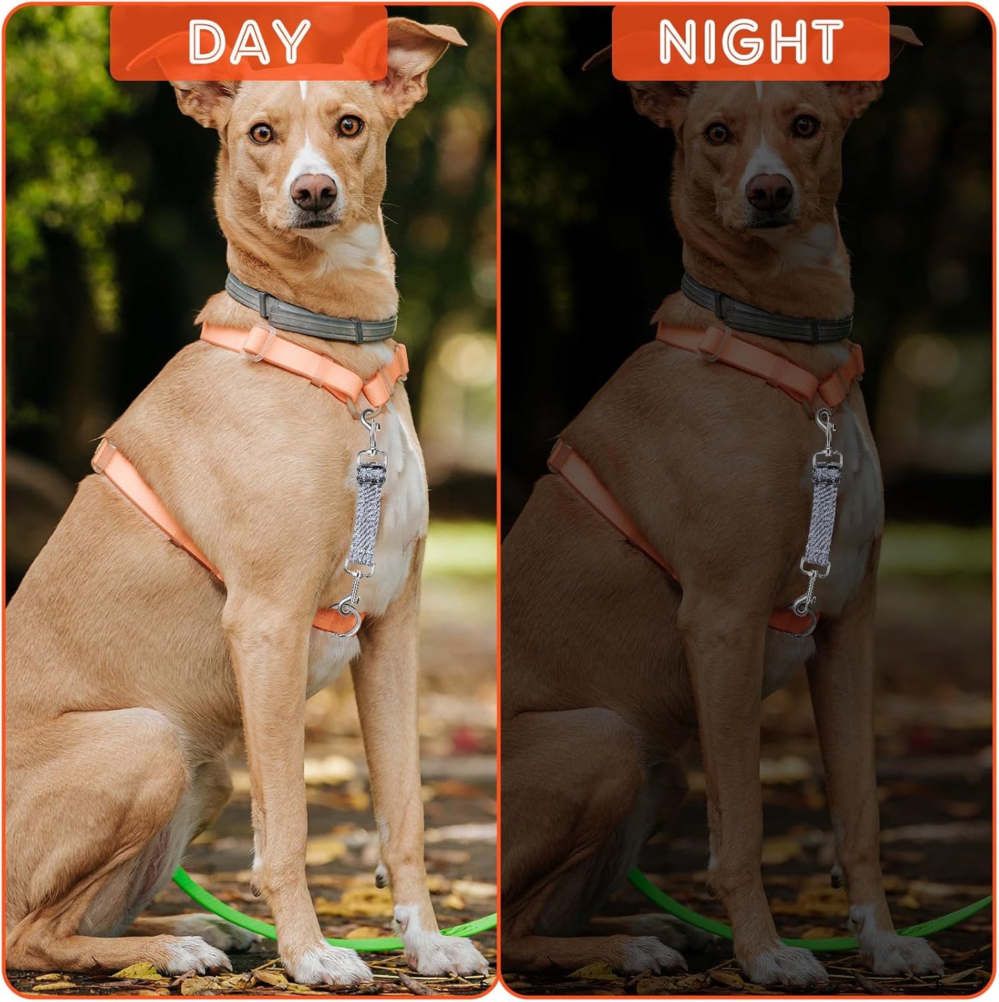 2 PCS Prong Collar Safety Clip Leash to Prong Collar Connector Dog Leash Connector Harness to Collars Safety Clip Reflective Double Ended Backup Clasp for Dog Pinch Collars