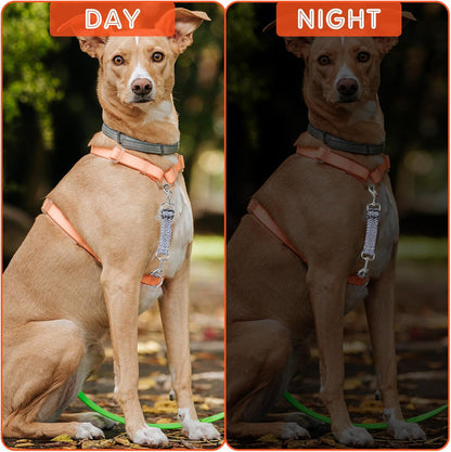 2 PCS Prong Collar Safety Clip Leash to Prong Collar Connector Dog Leash Connector Harness to Collars Safety Clip Reflective Double Ended Backup Clasp for Dog Pinch Collars