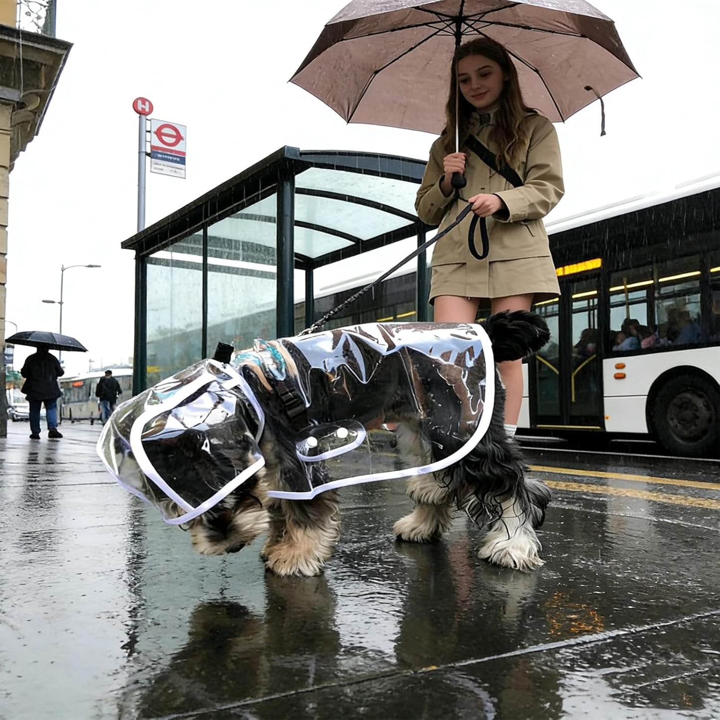 Clear Dog Rain Poncho for Small Medium Dogs - Heavy Waterproof Raincoat with Hidden Leash Hole & Adjustable Snaps - Transparent, Pet Hooded Cape for Bichon Poodle (4-8lbs)