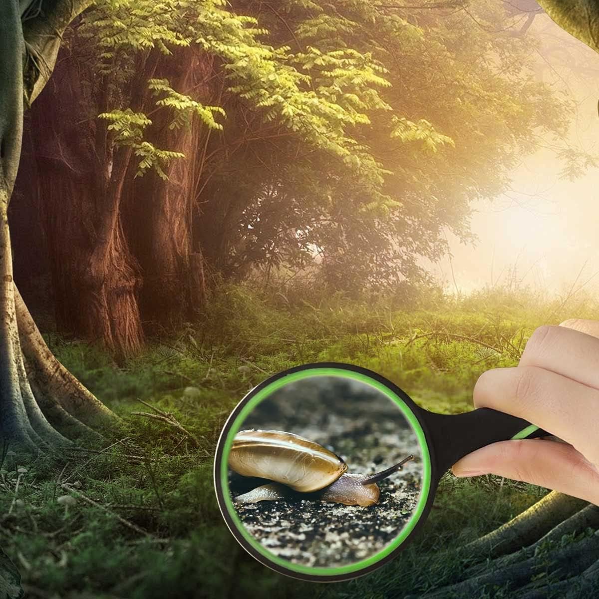 10X Shatterproof Magnifying Glass Large Handheld for Seniors Kids 75mm Lens with Non-Slip Rubber Handle Magnifier Reading Science Insect Hobby Observation