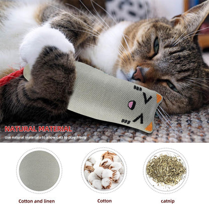 Soft Indoor Cat Toys Self Play Interactive Pillows Catnip Filled 5PCS Plush Kitten Teething Set Cute Kitty Chew Bite Resistant Cartoon Mouse Pet Supplies Gifts