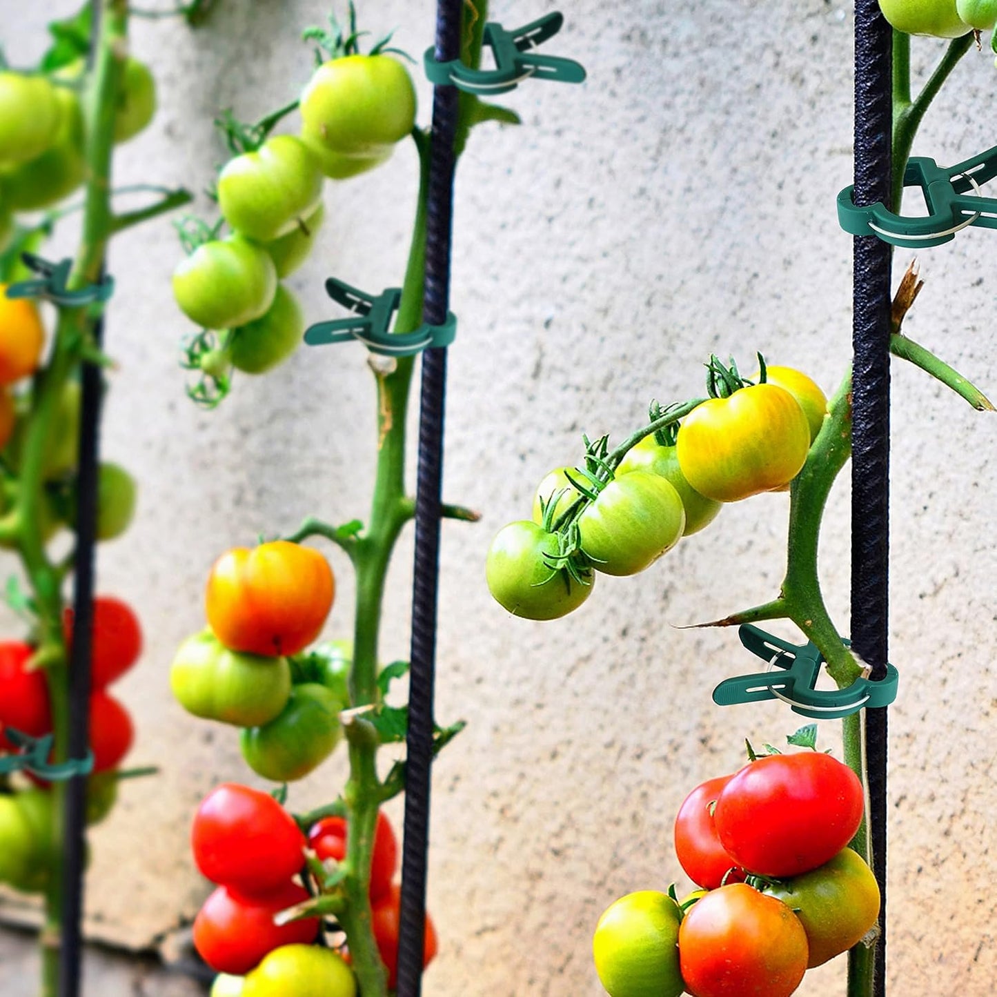 48 Pcs Garden Plant Clips, Plant Support Clips for Securing Stems, Flowers or Climbing Vines to Tomato Cages, Trellis