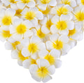 50PCS 2.7" Foam Plumeria Flower Heads, Tropical Artificial Hawaiian Frangipani for Hair Hat Wreath, DIY Crafts, Spring Wedding Decor