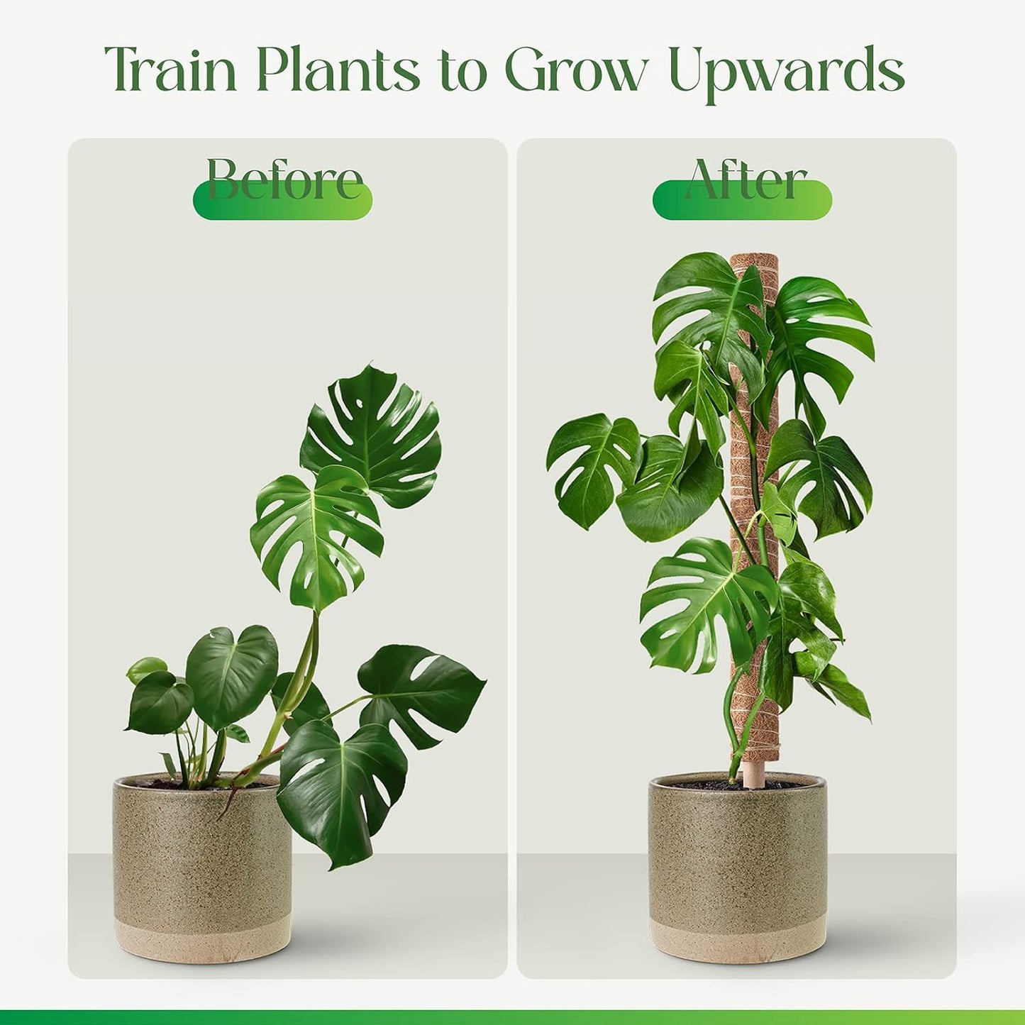 Moss Pole for Plants Monstera, Extendable Plant Sticks Support, Plant Stakes for Indoor Potted Plant, 15.7'' Coco Coir Pole Plant Trellis for Sphagnum, Pothos and Other Climbing Plants(2 PCS)