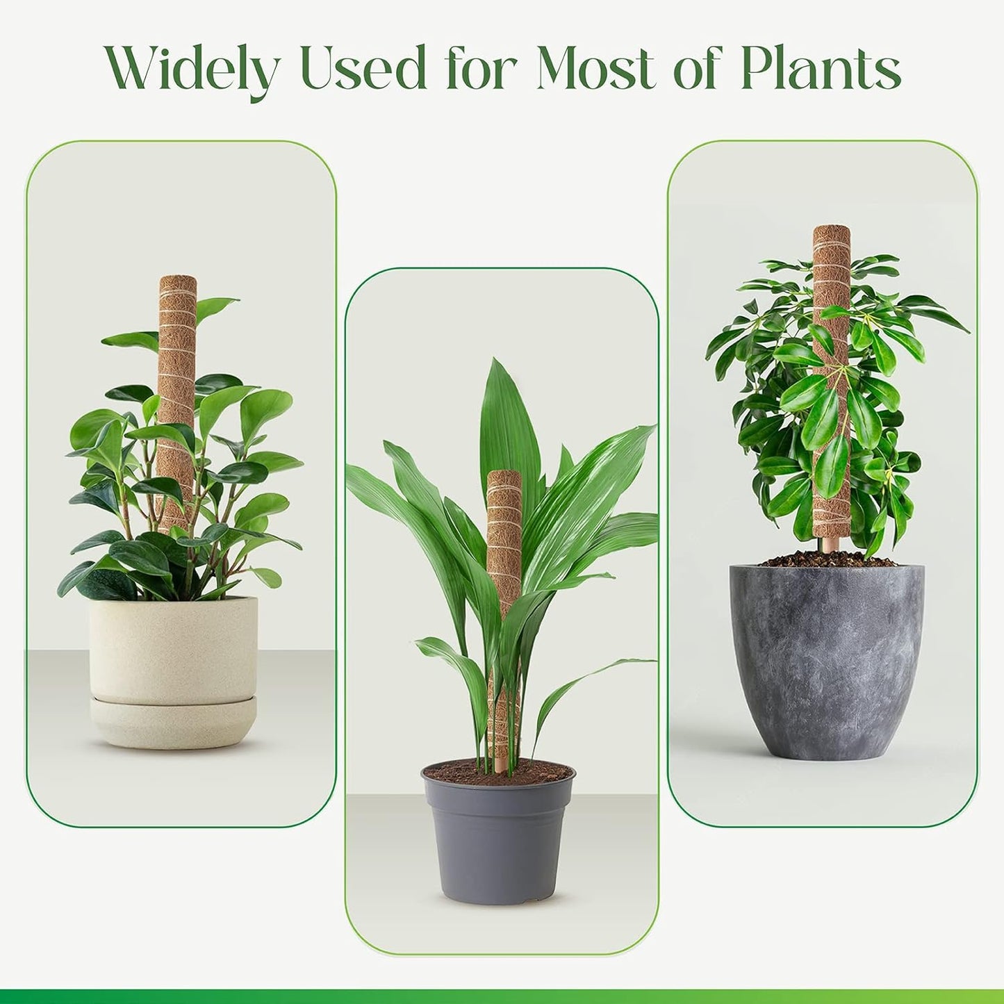 Moss Pole for Plants Monstera, Extendable Plant Sticks Support, Plant Stakes for Indoor Potted Plant, 15.7'' Coco Coir Pole Plant Trellis for Sphagnum, Pothos and Other Climbing Plants(2 PCS)