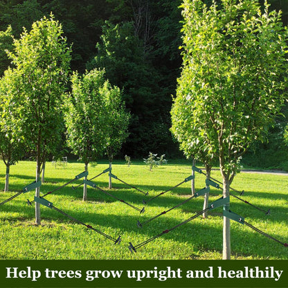 Tree Stakes and Supports, Heavy Duty Tree Stakes Kit Include 3Pcs Tree Straps for Staking, 3Pcs 12" Steel Spikes, and 39Ft Rope, Tree Supports for Young Tree Anti Strong Wind, Bad Weather