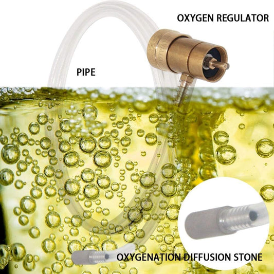 Aeration Stone 0.5 Micron Stainless Steel Oxygenation Diffusion Stone 1/4" Barb for Home brewing Wine Beer Soda + 20 Inch Silicone Hose (Pack of 2)