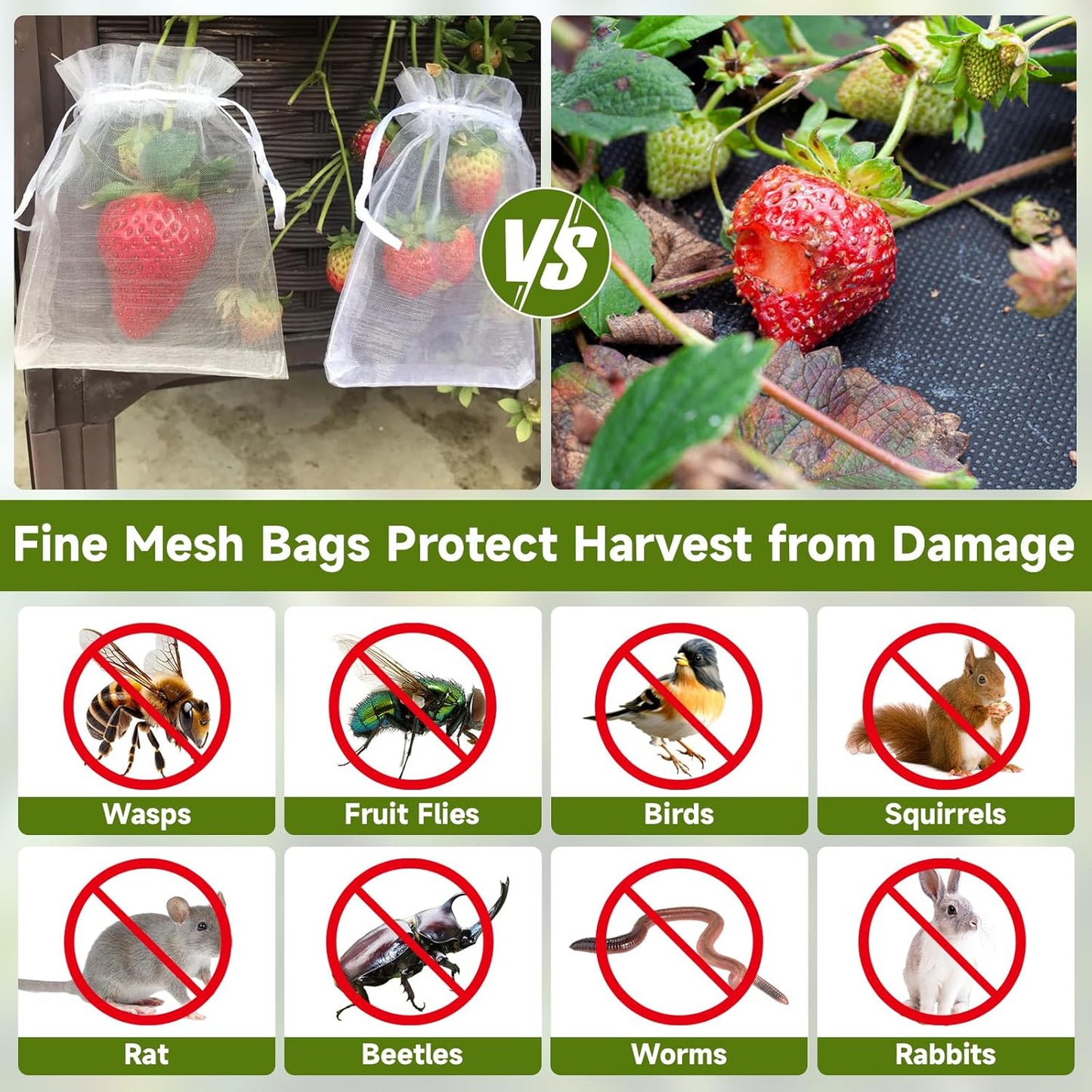 Fruit Protection Bags - 100PCS Nets, 4x6 Inch, White, Mesh Bags for Fruit & Vegetables