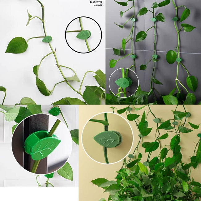 30 Pack Self-Adhesive Plant Clips Invisible Wall Hooks for Climbing Plants Trellis Support Vines Ivy Indoor Outdoor Use Main Image