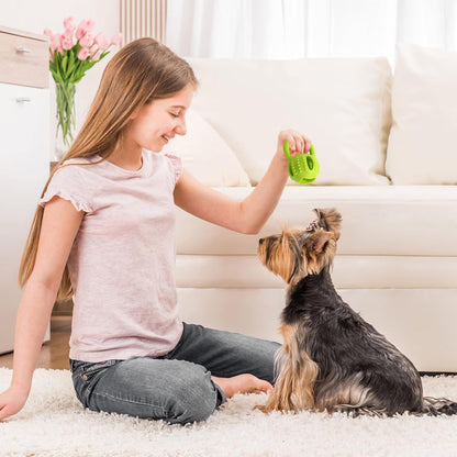 Interactive Chew Toy for Small Dogs Square Shaped Teeth Cleaning and Biting Plaything.