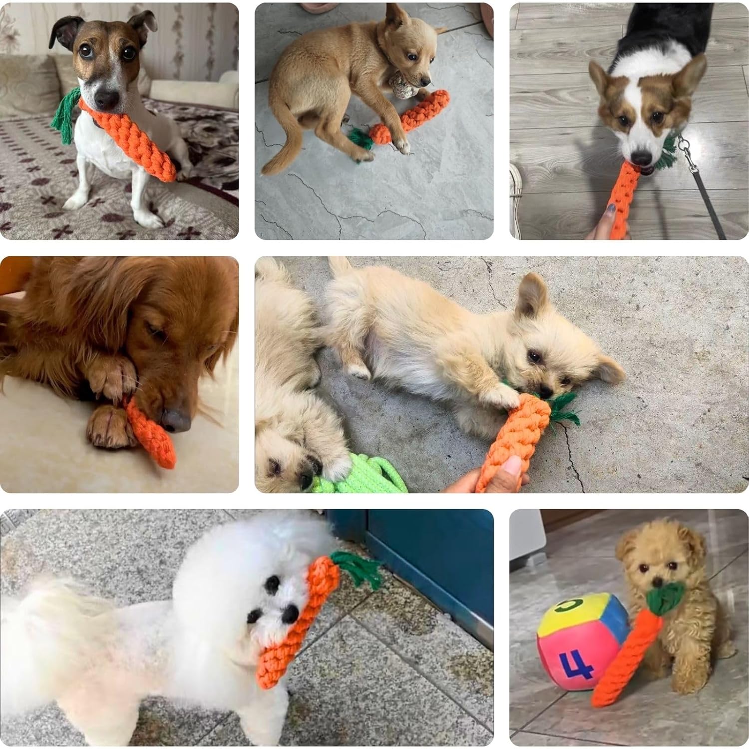 5 Pack Dog Chew Toys - 100% Cotton Material - Durable Bite-Resistant for Teeth Cleaning and Interactive Play - Ideal for Dogs of All Sizes.