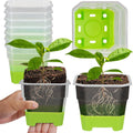 12 Pcs Reusable Green Seedling Starter Pots - Mini Succulent Planters for Seed Germination