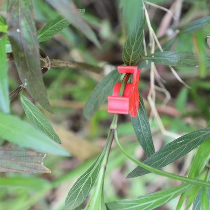 40 Pcs 90 Degree Plant Trainers Reusable Support Clips for Tomatoes Fruit Trees Greenhouse Use Red