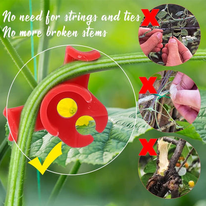 40 Pcs 90 Degree Plant Trainers Reusable Support Clips for Tomatoes Fruit Trees Greenhouse Use Red