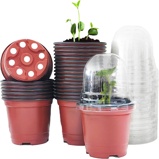 25 Pack Seedling Pots with Lids 9x14cm Reusable Mini Greenhouse Grow Trays for Propagation