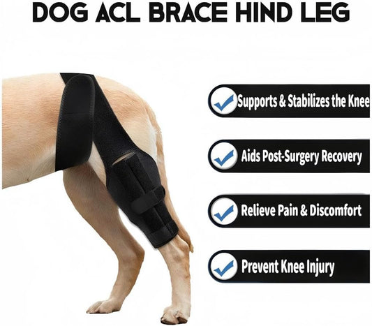 Dog Knee Brace for Torn ACL Hind Leg，Comfortable and Adjustable Support Brace with Two Stabilizer，Dog Leg Braces for Back Leg with Extra Support，Arthritis Relief and Surgery Recovery (S)