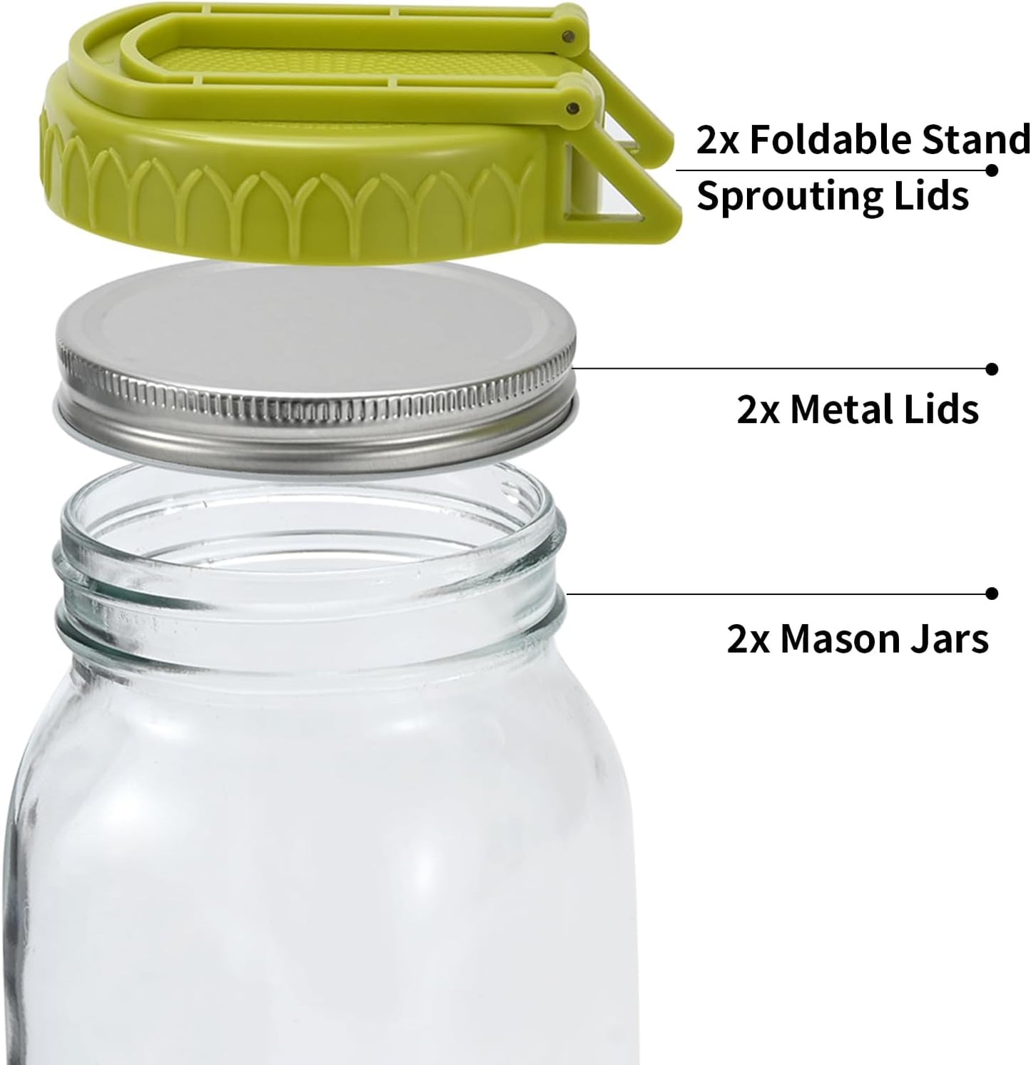 Complete Sprouting Kit - 2 Large Wide-Mouth Mason Jars 32 Oz, 2 Foldalbe Screen Lids with Draining Stand, 2 l Canning Lids, Bean Sprouts Grow Kit for Broccoli alfalfa