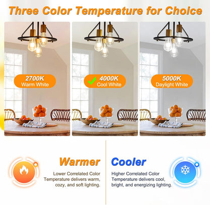 Vintage LED Edison Bulbs, 6W, Non-Dimmable, Equivalent 60W, High Brightness Cool White 4000K, ST58 Antique LED Filament Bulbs with 80+ CRI, E26 Medium Base, Clear Glass, 6 Packs