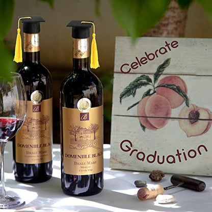 36 Pieces 2026 Mini Graduation Caps with Tassels Graduation Wine Bottle Toppers(Black Cap with Gold Tassel)