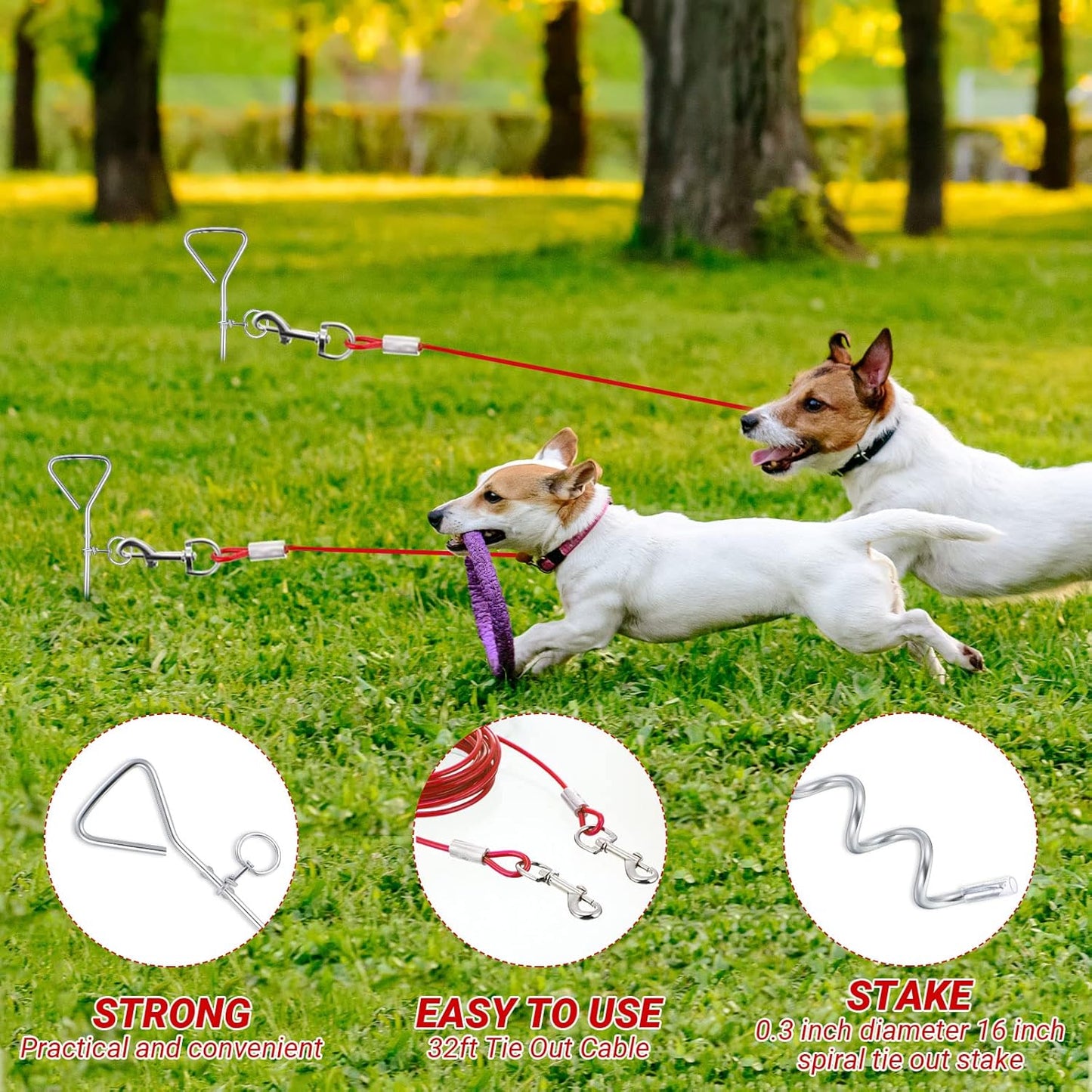 Amylove 2 Set Dog Tie Out Cable and Stake - 30ft Leash Chain, 16" Spiral Stake for Outside Yard - Medium to Large Dogs up to 125 Lbs (Red)