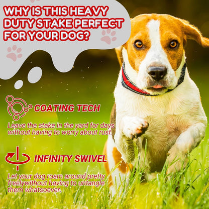 Amylove 2 Set Dog Tie Out Cable and Stake - 30ft Leash Chain, 16" Spiral Stake for Outside Yard - Medium to Large Dogs up to 125 Lbs (Red)