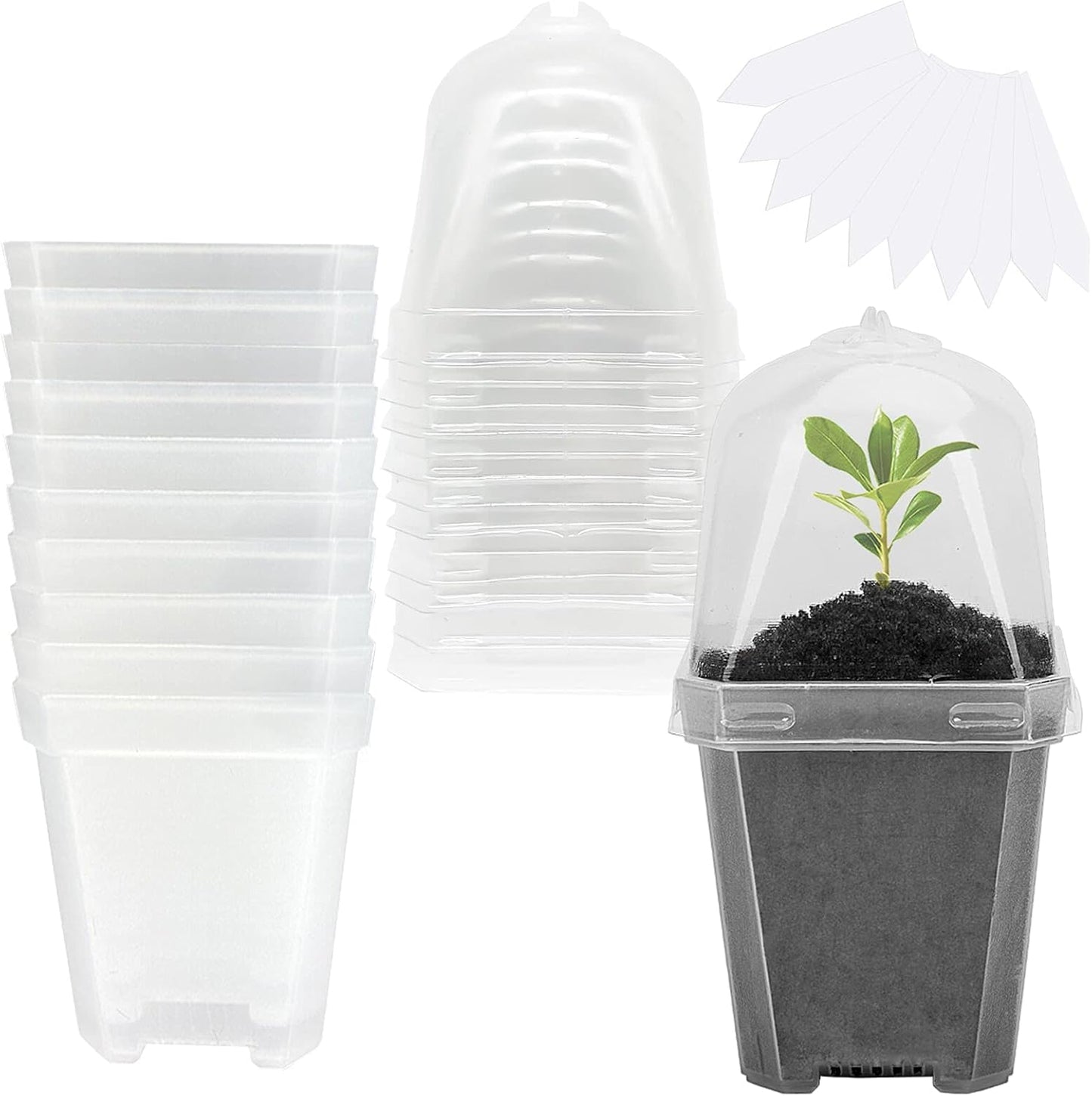10PCS Clear Plant Nursery Pots with Humidity Dome - 3" Plastic Gardening Pot with Labels, Durable Plastic Plant Container for Seedlings/Vegetables/Succulents/Cuttings