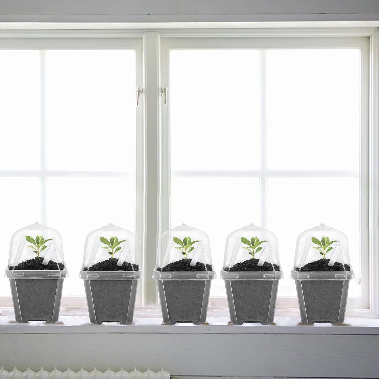 10PCS Clear Plant Nursery Pots with Humidity Dome - 3" Plastic Gardening Pot with Labels, Durable Plastic Plant Container for Seedlings/Vegetables/Succulents/Cuttings