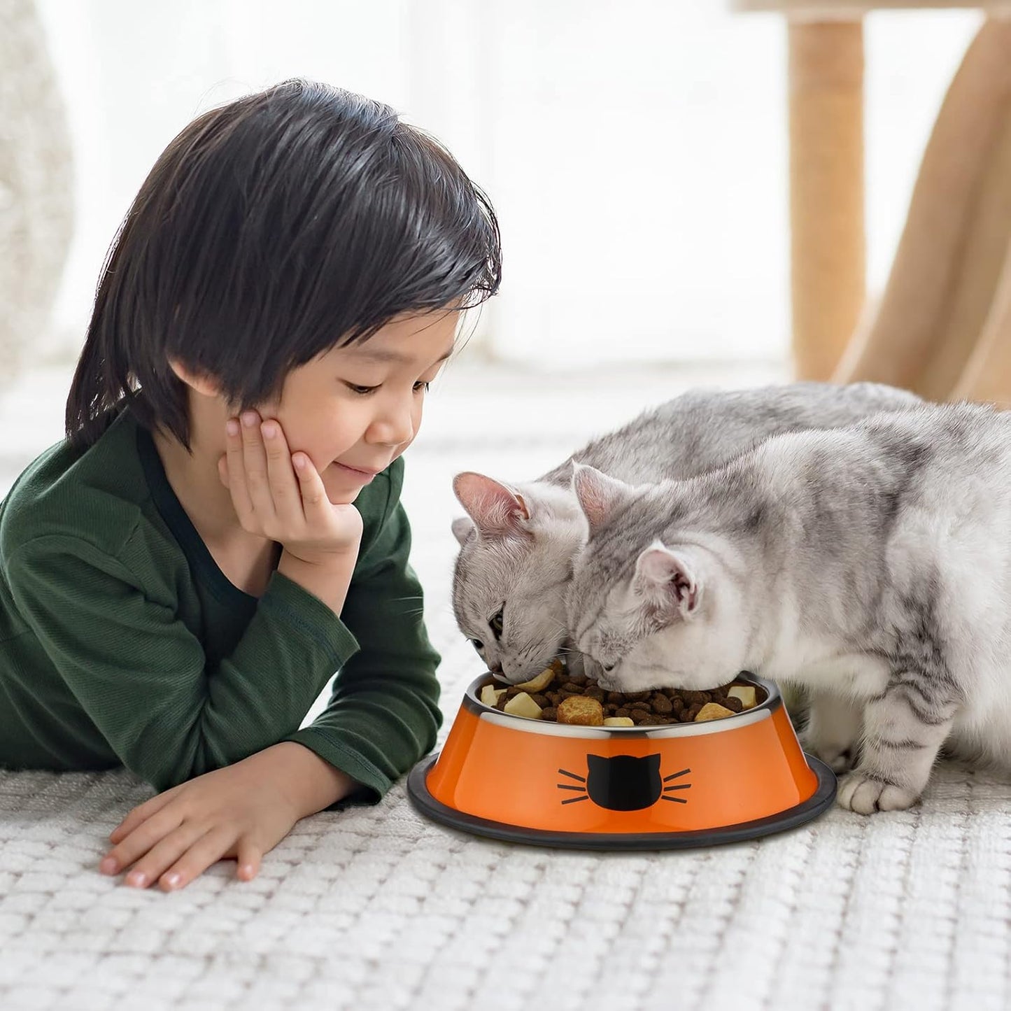 6 Pcs Cat Bowls for Food and Water Dishes Stainless Steel Pet 7 oz Anti Slip Metal Dish with Removable Rubber Base Thick Feeding Indoor Kitten Small Dog(Classic Color) Classic Color