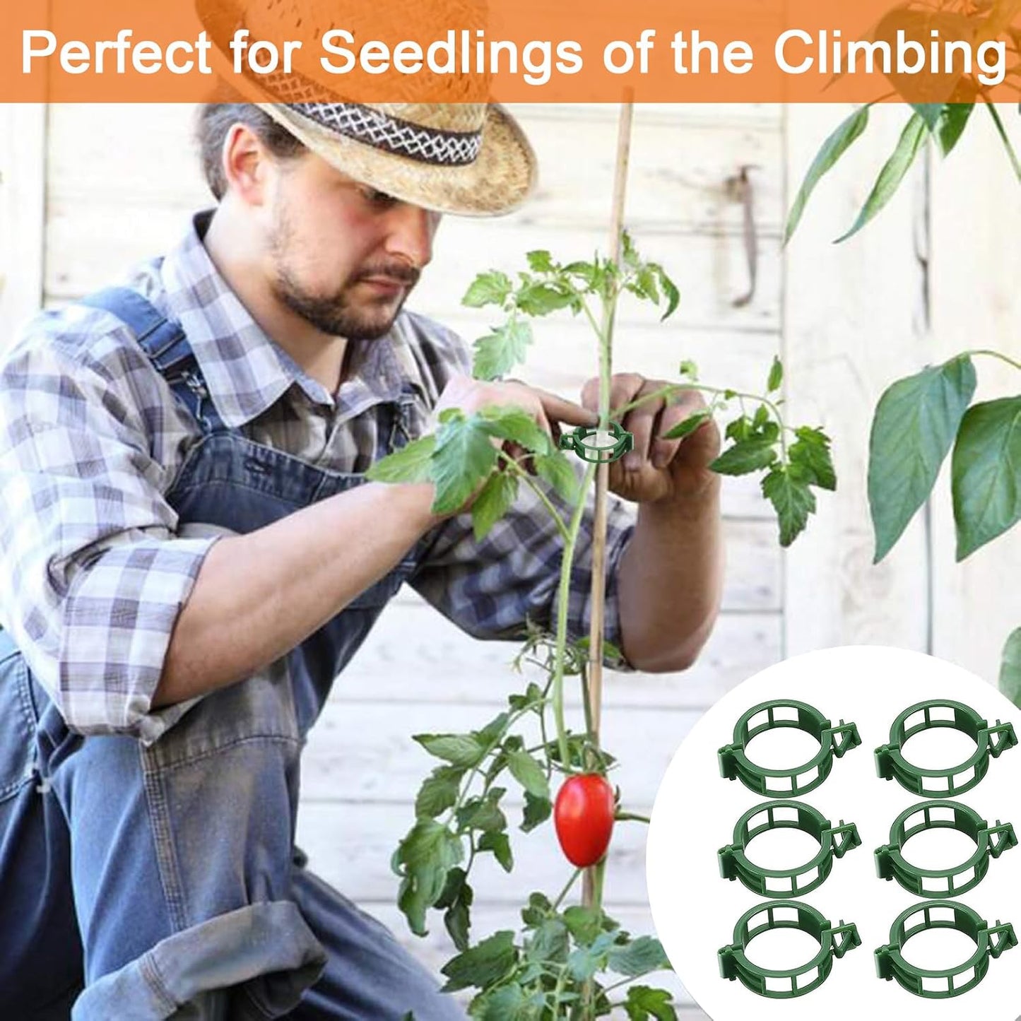 Tomato Clips for Climbing Plants, 300 Pcs Reusable Plastic Tomato Plant Clips for Climbing Plants,Tomato Trellis Clips for Plants Support