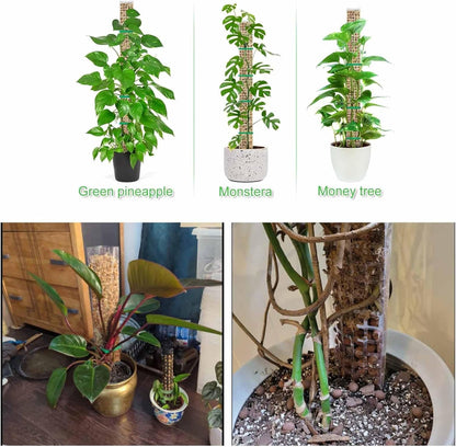 6 Pcs 24 Inch Plastic Moss Pole for Plants Monstera, Stackable for Indoor Work with Sphagnum Support Structure to Help Plants Grow Upwar