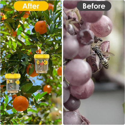2pcs Wasp Trap, Yellow Hornet Bee Traps Catcher with Hanging Non-Toxic PP Plastic Jacket Traps for Outdoors/Garden - Yellow