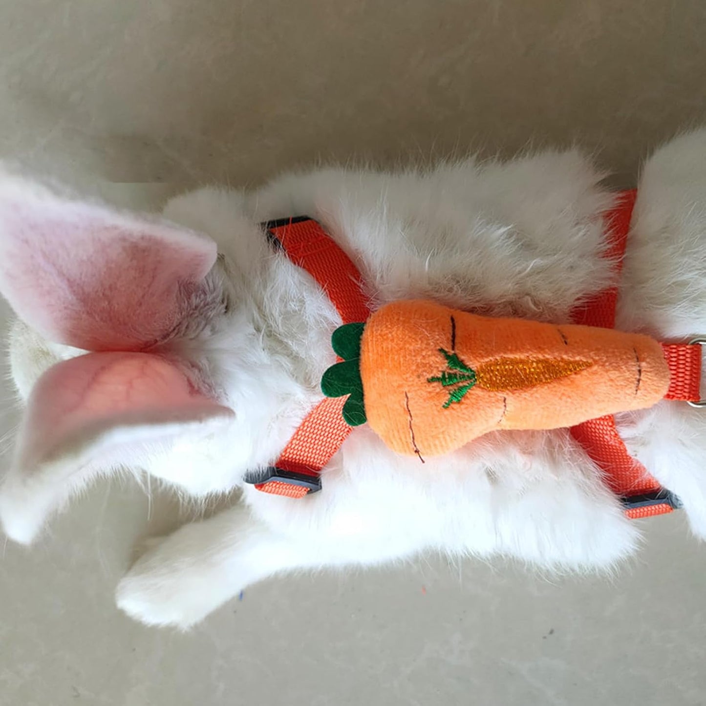2pcs Rabbit Harness and Leash Set Cute Carrot and Strawberry Trim, Adjustable,for Rabbits, Cats Small Pets