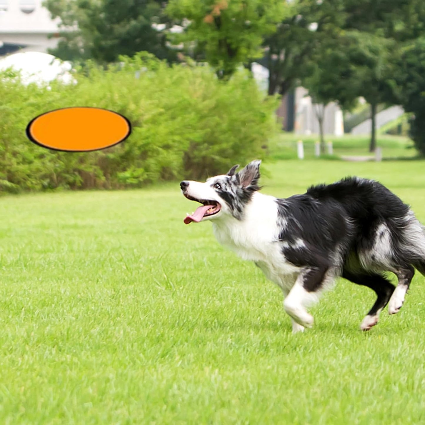 24pcs Collapsible Frisbee Fan Set Beach Frisbee Party Idea Gift Halloween Christmas New Years, 8 Colors