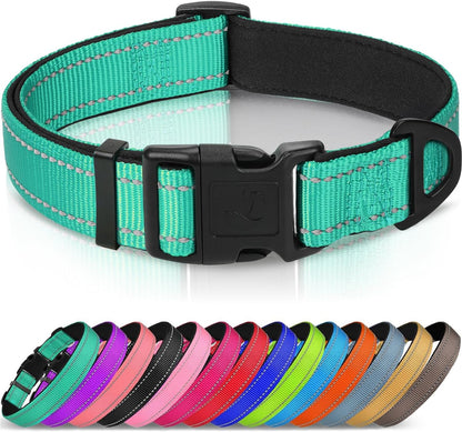 Reflective Dog Collar, Soft Neoprene Padded, Metal D-Ring, Nylon Pet Collar Adjustable for Large Dogs, Teal, L Teal (Pack of 1)