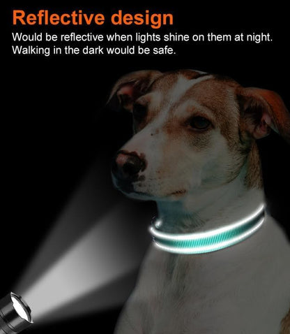 Reflective Dog Collar, Soft Neoprene Padded, Metal D-Ring, Nylon Pet Collar Adjustable for Large Dogs, Teal, L Teal (Pack of 1)