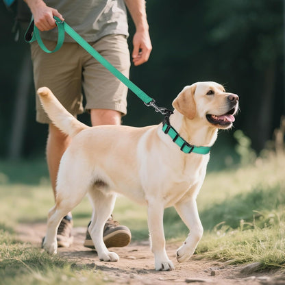 Reflective Dog Collar, Soft Neoprene Padded, Metal D-Ring, Nylon Pet Collar Adjustable for Large Dogs, Teal, L Teal (Pack of 1)