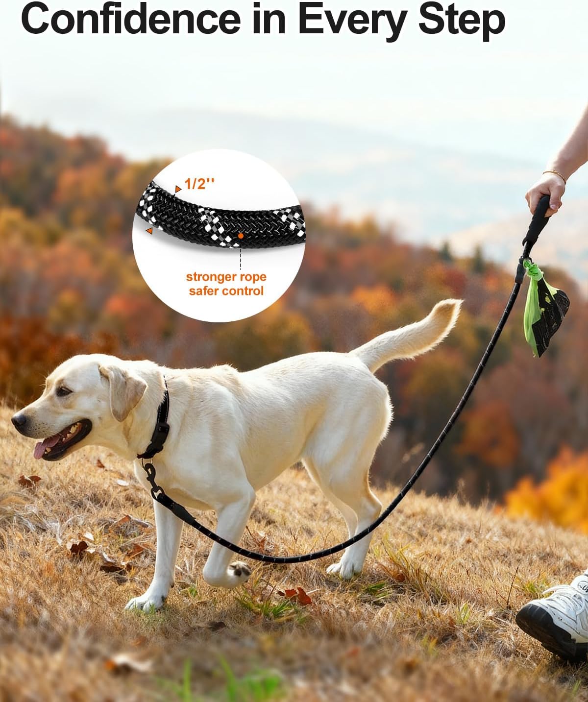 Dog Leash for Large Dogs, Heavy Duty Nylon Leashes with Comfortable Padded Handle and Highly Reflective Threads, Ideal Walking Training, Black, 6'×1/2'' Black 6FT×1/2'' (20~120 lbs)