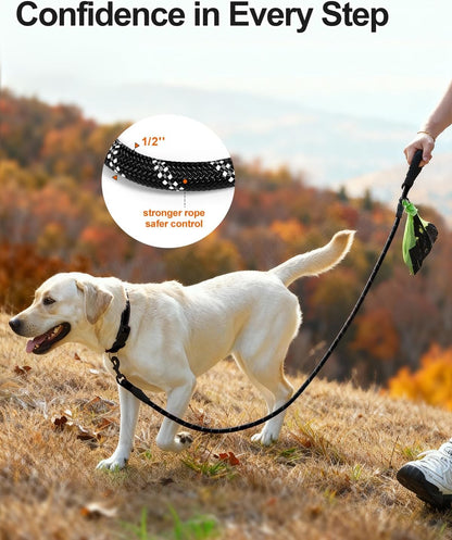Dog Leash for Large Dogs, Heavy Duty Nylon Leashes with Comfortable Padded Handle and Highly Reflective Threads, Ideal Walking Training, Black, 6'×1/2'' Black 6FT×1/2'' (20~120 lbs)