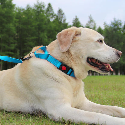 Martingale Dog Collar(12.5-16''), 6FT Double Handle Leash for Training, Sky Blue -