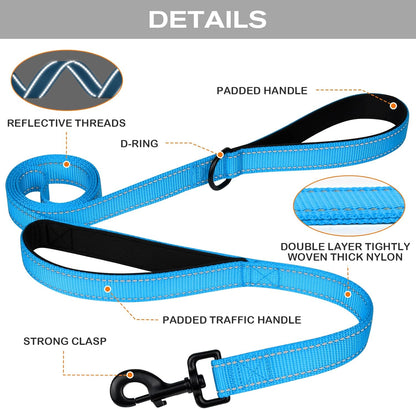 Martingale Dog Collar(12.5-16''), 6FT Double Handle Leash for Training, Sky Blue -