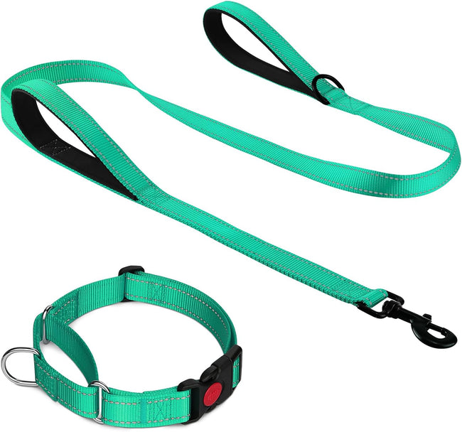 Martingale Dog Collar(12.5-16''), 6FT Double Handle Leash for Training, Teal - Hover Image
